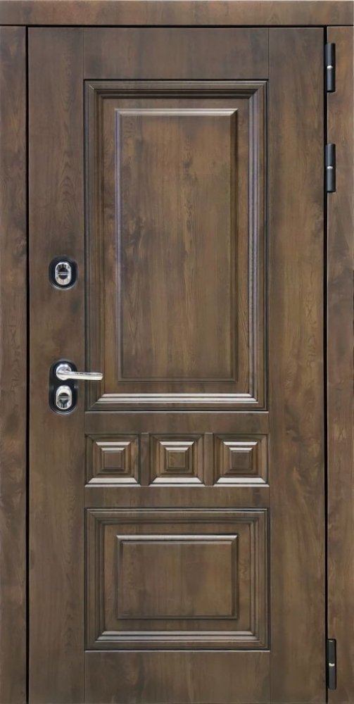 Входная дверь ДвериПРО Аура Лаура (16мм, анегри 74) DPRO195972 внешняя сторона